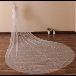 A Pearl Scattered Cathedral Veil